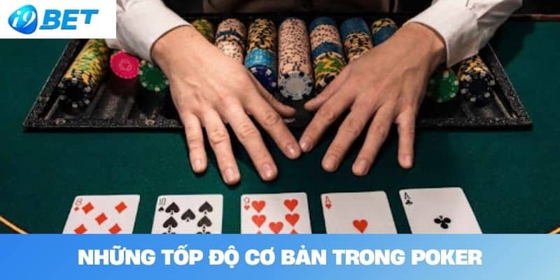 Những Tốp Độ Cơ Bản Trong Poker