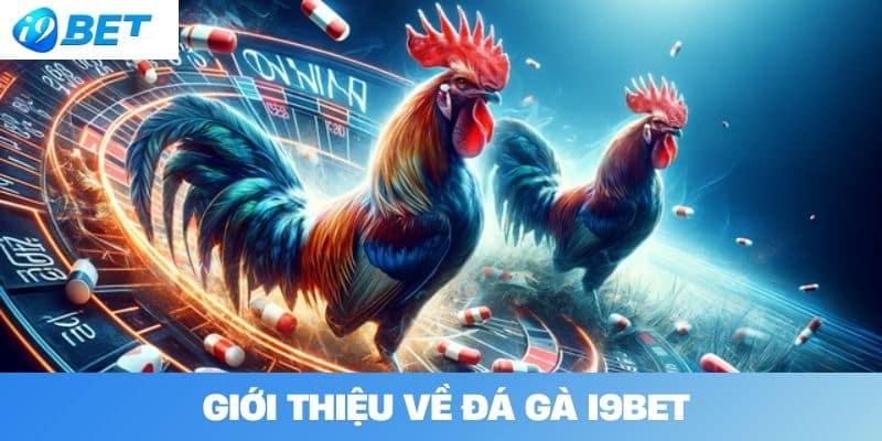 Giới thiệu về đá gà I9BET