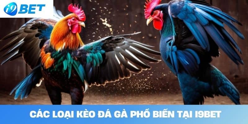 Các loại kèo đá gà phổ biến tại I9BET