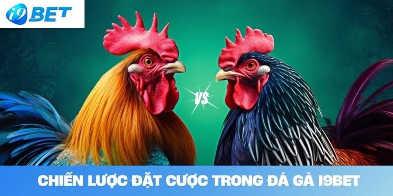 Chiến lược đặt cược trong đá gà I9BET