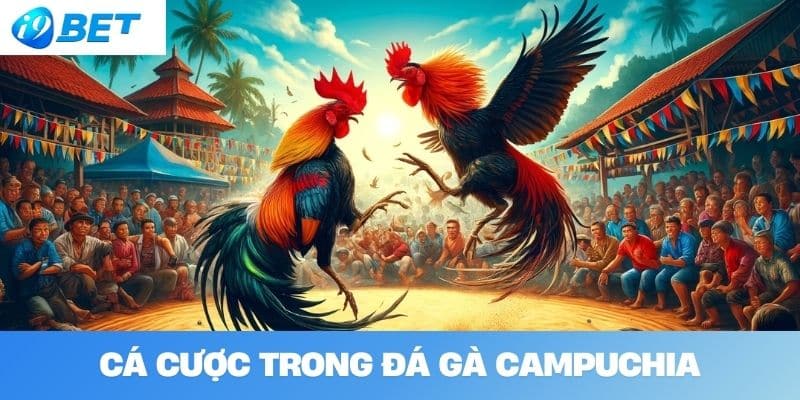 Cá cược trong đá gà Campuchia