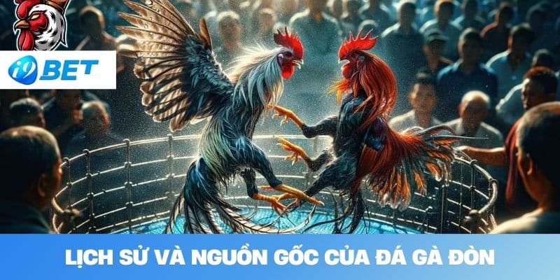 Lịch sử và nguồn gốc của đá gà đòn