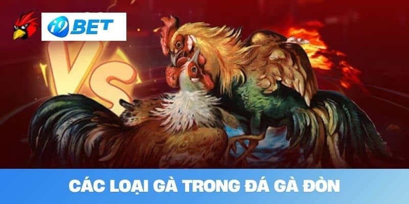 Các loại gà trong đá gà đòn