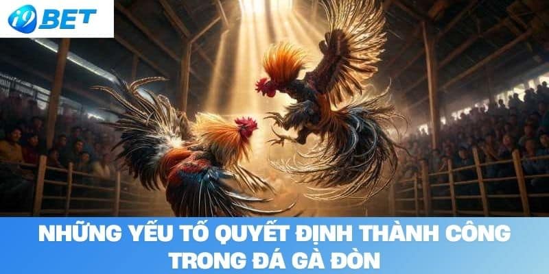 Những yếu tố quyết định thành công trong đá gà đòn