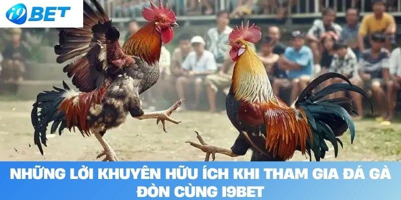 Những lời khuyên hữu ích khi tham gia đá gà đòn cùng I9BET