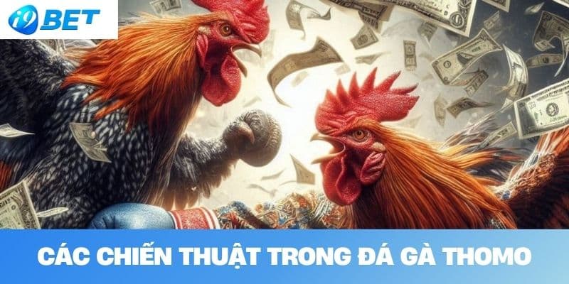 Các Chiến Thuật Trong Đá Gà Thomo