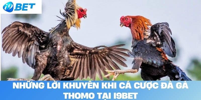 Những Lời Khuyên Khi Cá Cược Đá Gà Thomo Tại I9BET